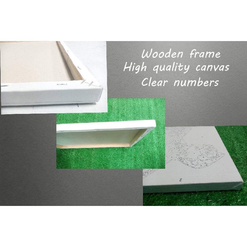 Savannan DIY Paint by Numbers, Spring Summer Iris Flowers Floral Leaves Pastoral Purple Blue Framed Canvas Acrylic Painting Kit Drawing Paintwork for