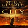 The City by Stella Graham Paperback Book 9780552168953