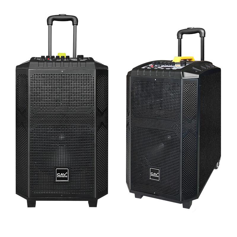 GAV K910 10-inch Portable Bluetooth Speaker with Dual Microphones