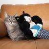 1 Stück/2 Stück Katzenpuppen-Wrestler-Spielzeug, interaktive Stofftier-Handpuppe mit robuster Polsterung für sicheres Spielen, Katzen-Wrestling-Puppenspielzeug gegen Langeweile