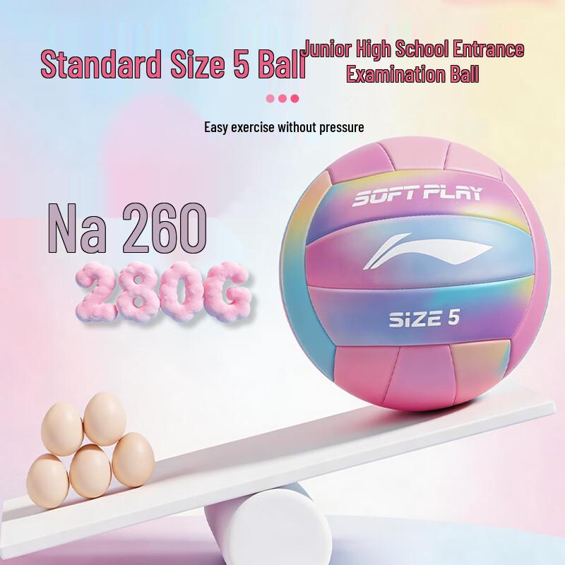Li-Ning Size 5 Indoor Training Volleyball