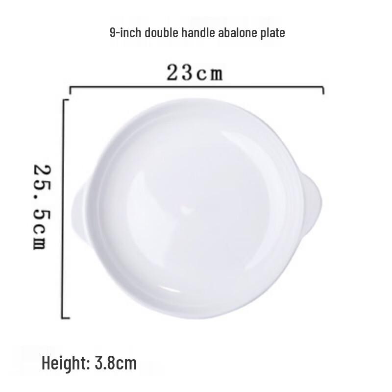 ZISIZ Ceramic Restaurant Plates