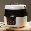 Electric Lunch Box 2L Travel Rice Cooker Small 12V 24V for Car Cooking Soup Porridge Rice Heating Keeping Warm Function