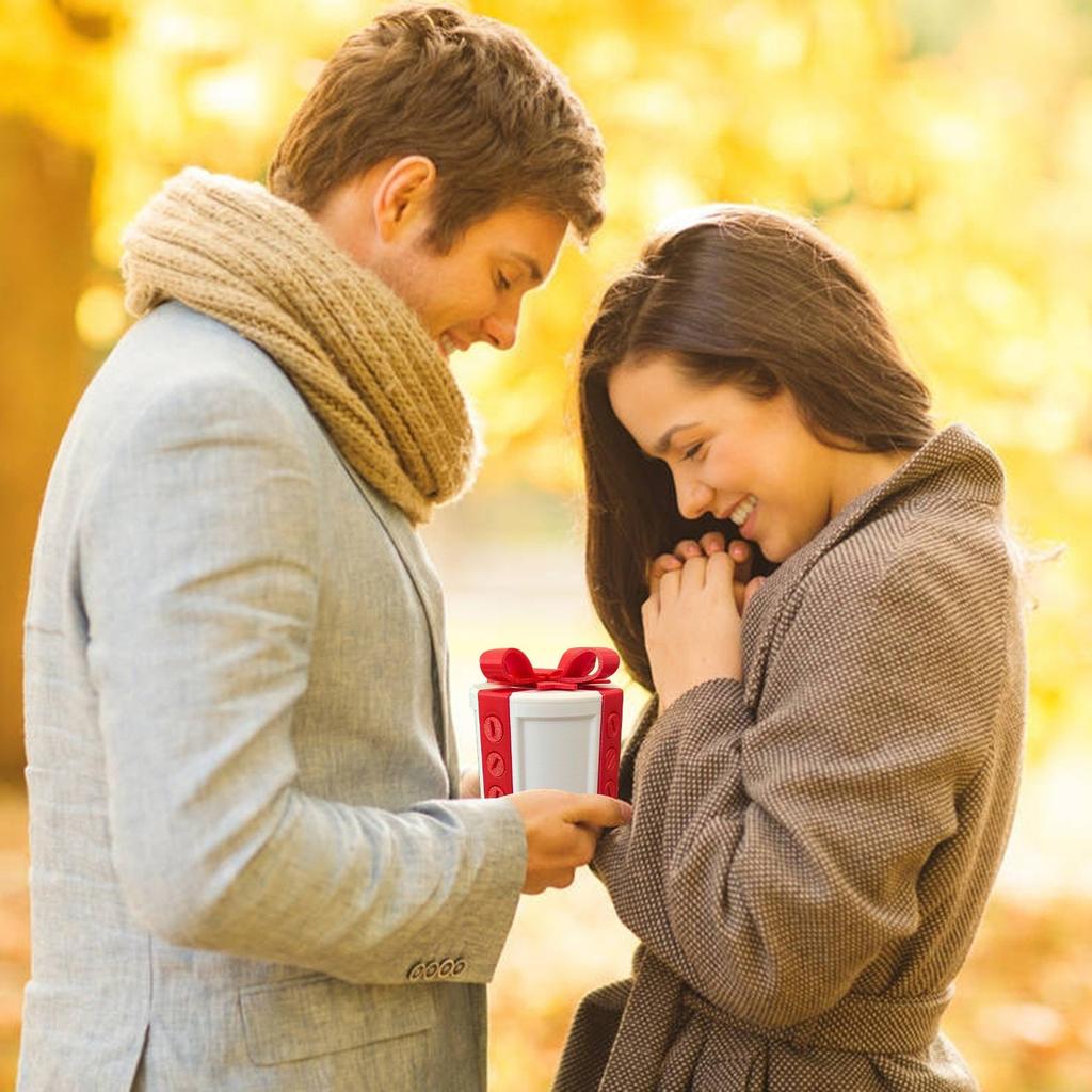 Große nervige Boxen Scherzboxen Boxen 3D-gedruckte Boxen Lustige Kartenbehälter Lustige Boxen Neuartige Boxen