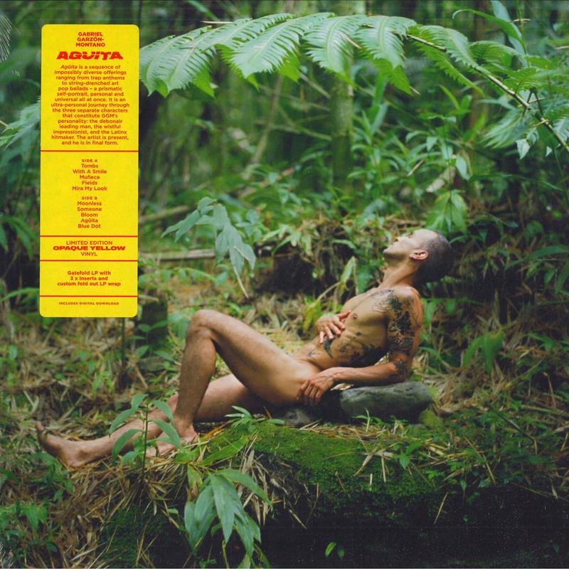 

LP Record GABRIEL GARZN-MONTANO - Agita JAG368LPC1 Jagjaguwar 2020 US Pop