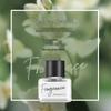 BONMARITO Shy Perfume: Light Floral Long-Lasting Women's Fragrance with Romantic Plant Extracts Essential Oil.