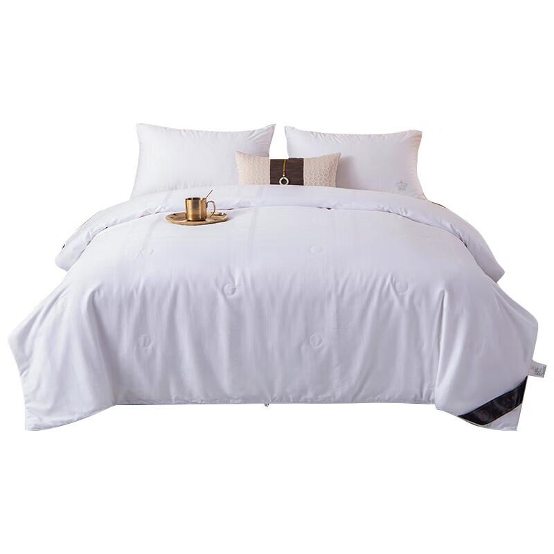 

AORUOLA Home Textile Silk Summer Quilt