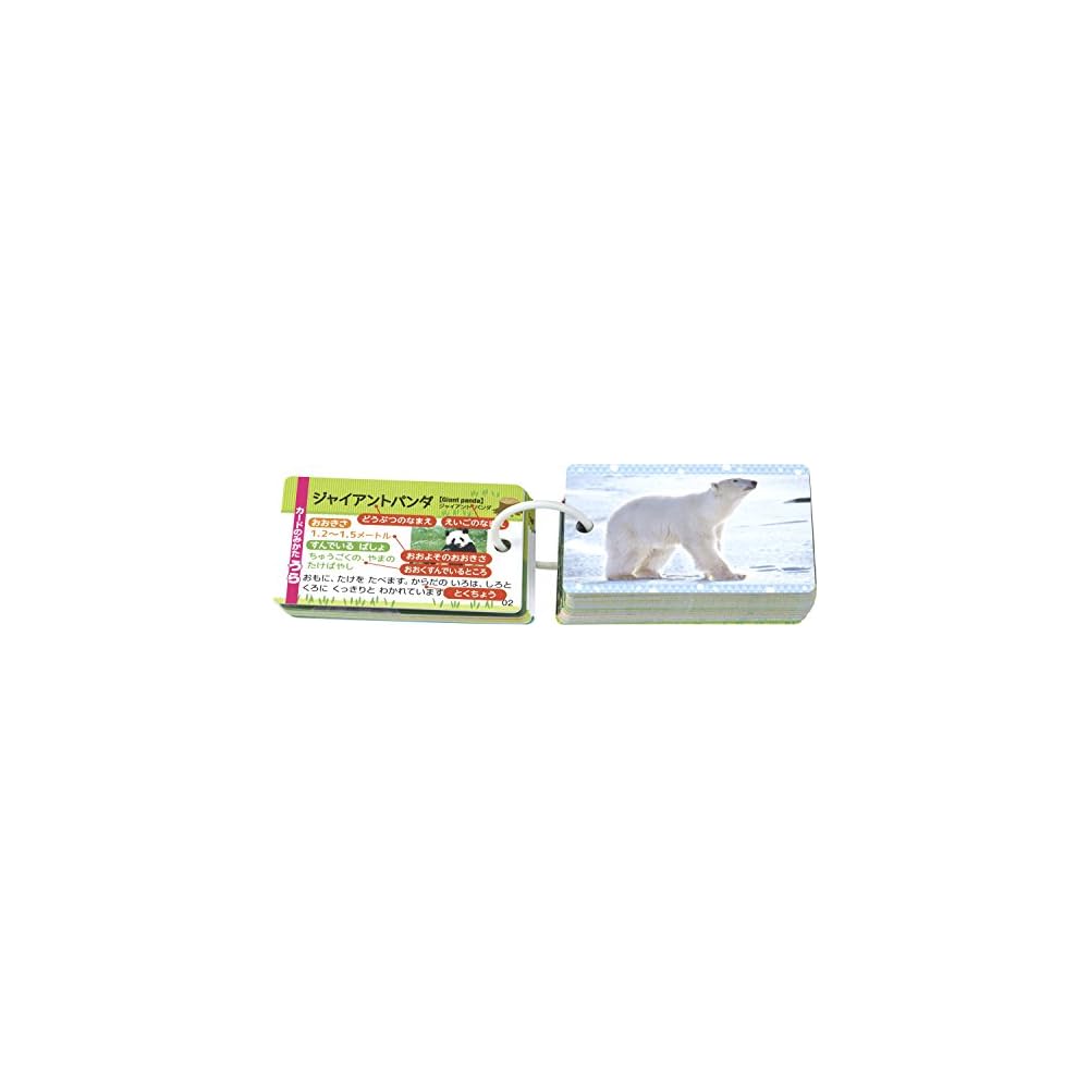 Epoch Pocket Picture Cards Animal Friends 08-305 with Ring and Clear Cover for Ages 3 and Up Toy