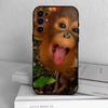 Funny Cute Monkeys  Phone Case For Samsung S25,S24,S21,S22,S23,S30,Ultra,S20,Plus,Fe,Soft Silicone Black Cover