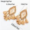 Raffia Hand-Woven Dreamcatcher Earrings with Ear Hooks