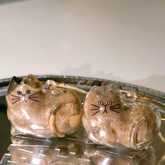 Cat Hair Storage Bottle Transparent Pet Fur Keepsake Keychain for Collecting Cats Dogs Hair Pet Memorial Gift