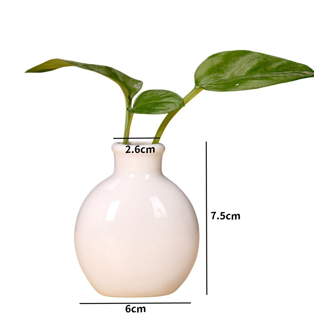 Rustic Irregular Flower Plant Pot Holder Geometric Metal Rack Air Plants Holder Rack Nordic Style Garden Display Decoration RE