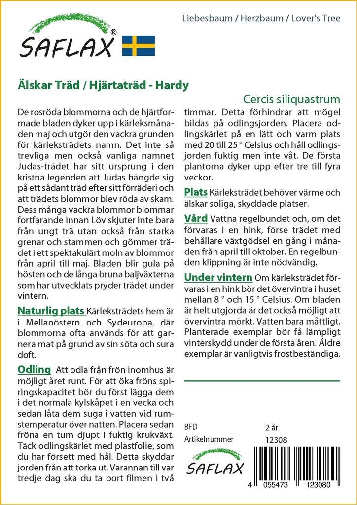 SAFLAX Ľubovníkový strom - 60 semien - Cercis siliquastrum