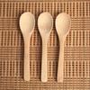 Small Bamboo Wooden Spoons Tiny Ellipse Serving Wood Spoons for Seasoning Oil Coffee Tea Sugar