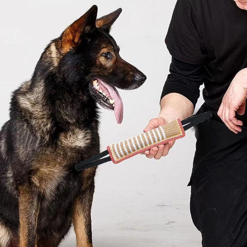 Dog Molar Toy with 2 Handles Tossing Teething Game Toy Reflective Pillow