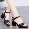 Women Genuine Leather Shoes High Heel Platform Sandals Buckle Thick Heel Ladies Sandals Women Pumps Summer Black 35-42