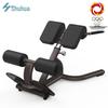 Shuhua Commercial Back Extension Trainer SH-G8858