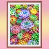 DIY 5D Diamond Art Painting Plants Beautiful Colorful Succulent Series Full Diamond Embroidery Kit Handmade Home Decoration