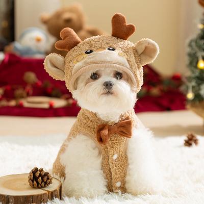 Giyim ve ayakkabı – Köpekler İçin Ceketler ve Montlar