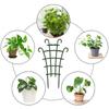 Plant Support Stakes Garden Climbing Fixed Support
