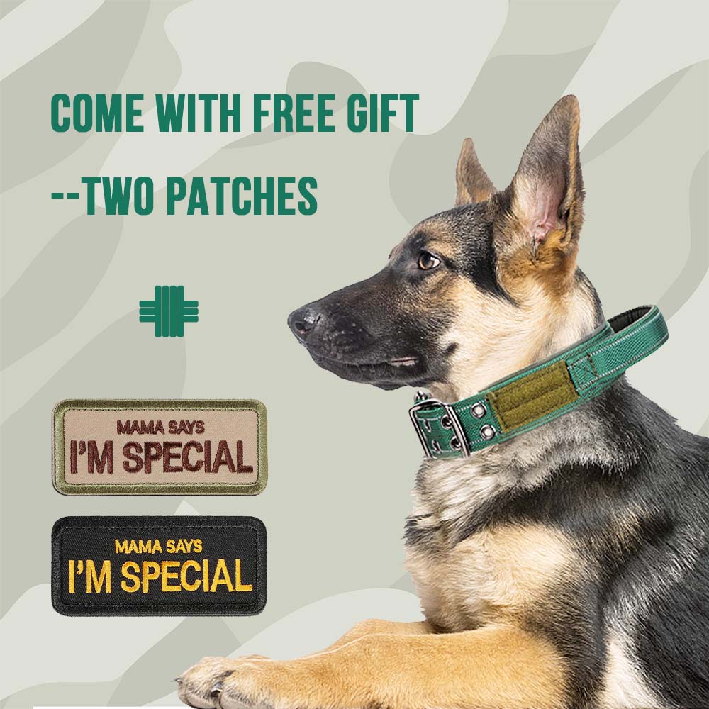 Collare tattico per cani resistente con design a doppia fibbia - Collare per cani di grado militare con maniglia per cani di taglia media e grande