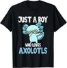 Mexican Walking Fish Just A Boy Who Loves Axolotls Gifts Unisex T-Shirt