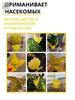 Sticky trap butterfly from insects and midges in pots, Velcro adhesive plate from flies, protection from aphids of flies