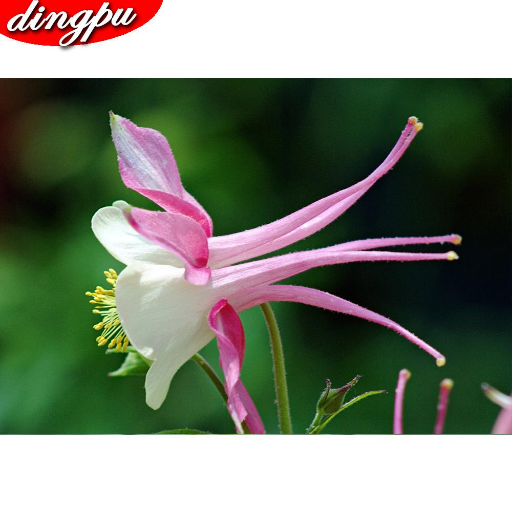 5D DIY diamant schilderij volledige ronde klaproos bloem kit diamant borduurwerk mozaïek decoraties thuis