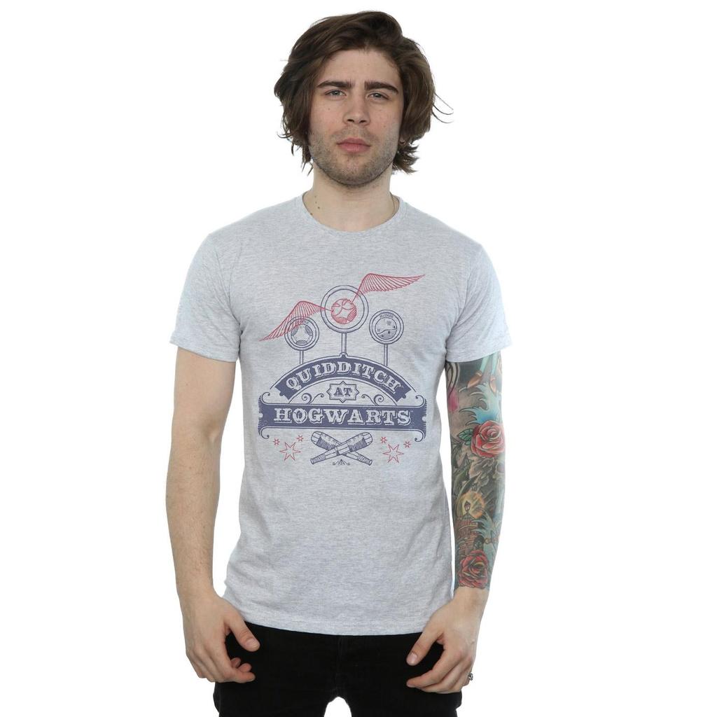 Harry Potter Mens Quidditch At Hogwarts T-Shirt