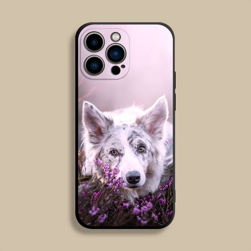 Border Collie Dog Phone Case For iPhone 17,16,15,14,13,12,Pro,Max,Plus,E,SE4,Air,Mini Black Soft Cover
