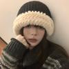 Plush knitted wool hat women's autumn and winter warm versatile cute face small new basin hat winter