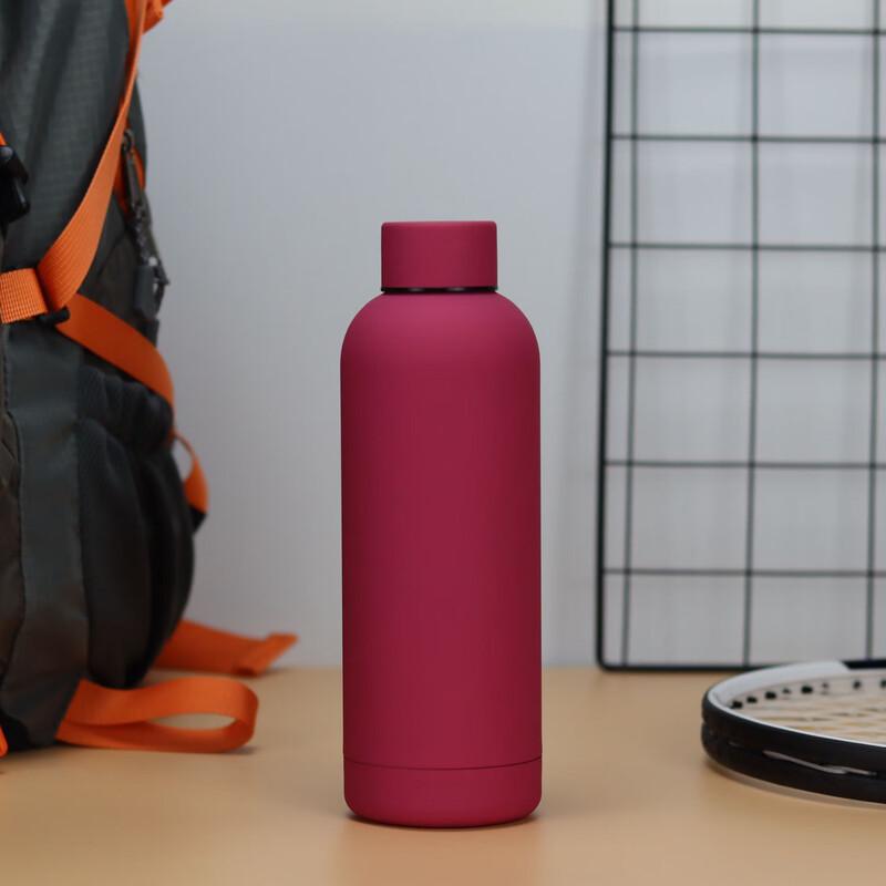 Outdoor Portable Stainless Steel Water Bottle