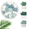 9/20Pcs DIY Succulent Plants Decorative Pushpins Creative Board Push Pin Thumb Tacks  Corkboard