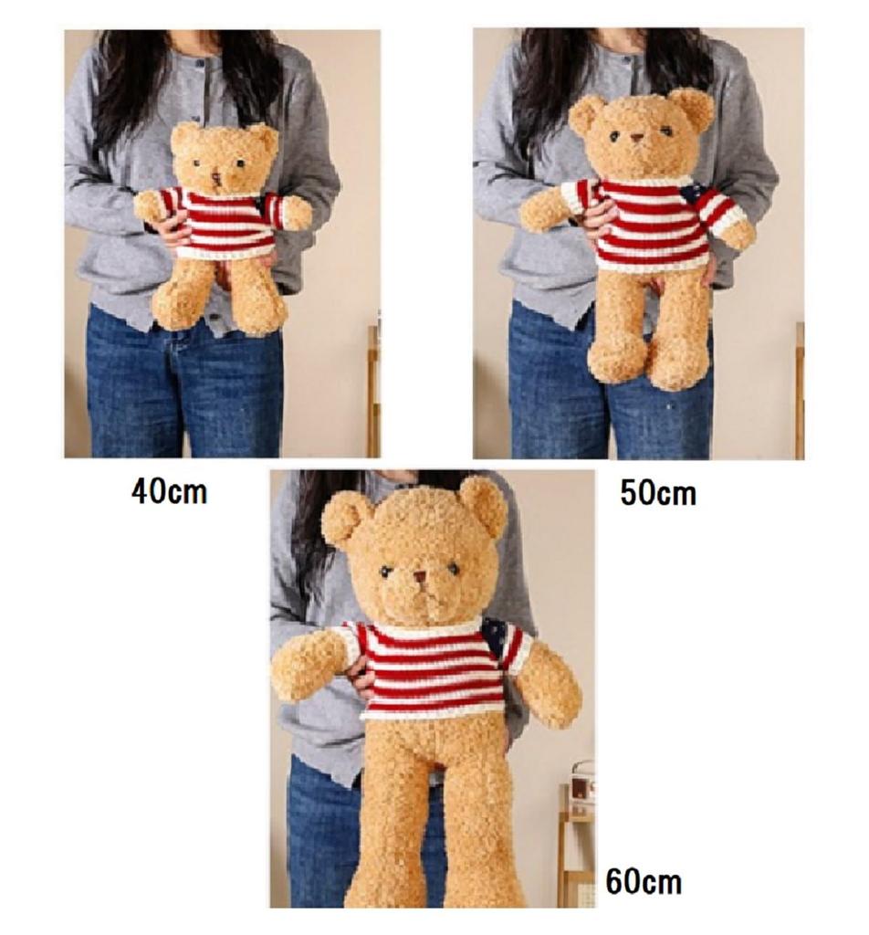 Bear Plush Pillow 50cm