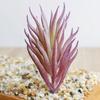 Beautifully Crafted Mini Artificial Succulents For Lifelike Home Office Decor