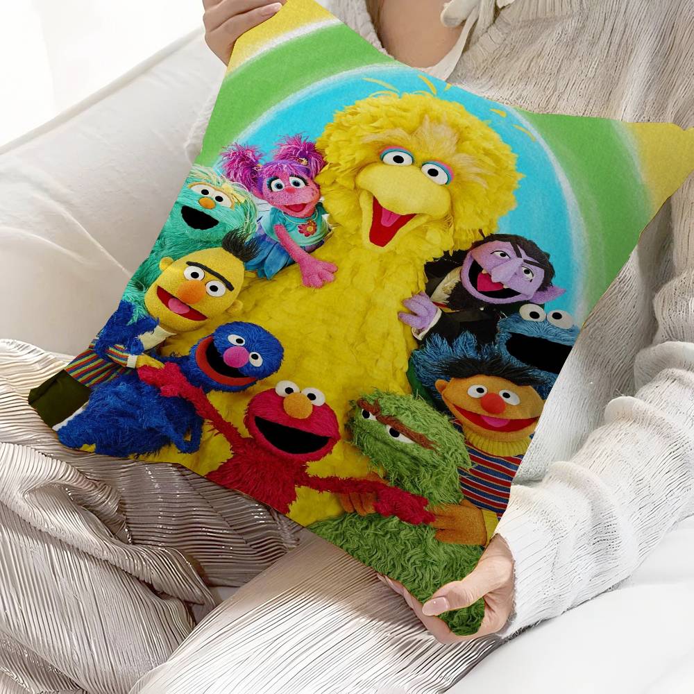 Anime Cartoon S-Sesame S-Streets Pillow Cushion Cover Pillowcase Living Room Sofa Home Decor Customized