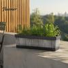 Imitation Wood Grain Herb Planter 18 Inch Rectangular Box, Window Box Planter, Plastic Vegetables Sill Garden Pots with Drainage Flowers Planting Pot