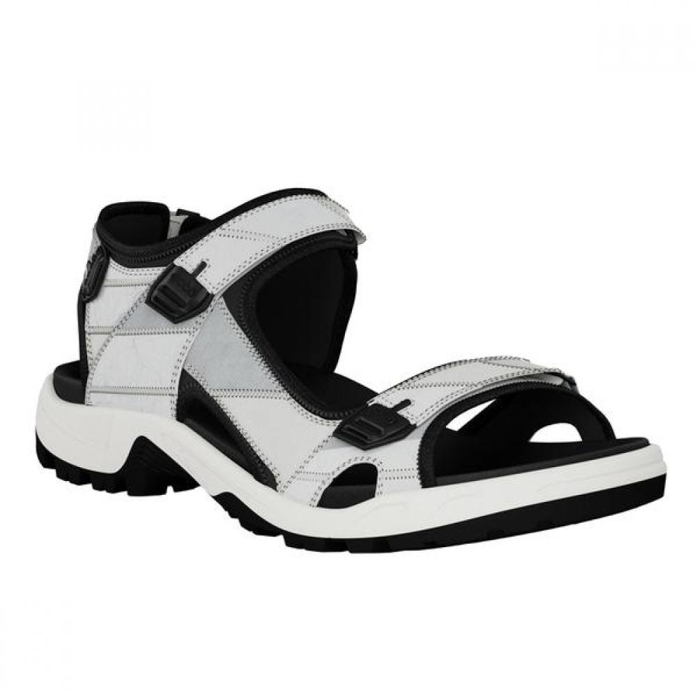 Ecco Offroad M 822204 51874 39(250)