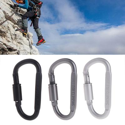 Durable Practical Metal Aluminum Zinc Zinc Alloy with Lock Climbing Key Buckle Hook Carabiner Keyring