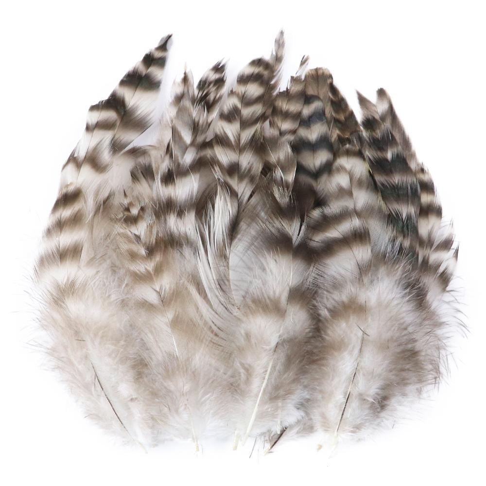 50/100Pcs Natural Pheasant Feathers Diy Crafts Jewelry Accessory Decoration Rooster Plumes High Quality