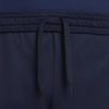 Nike Kids Shorts Moderate DR1364-451