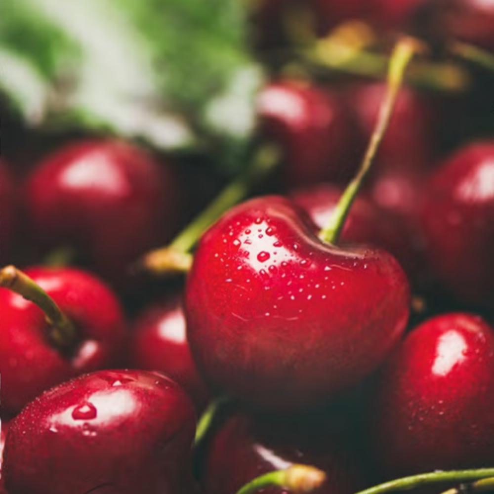 Taylor Farm's Dried Black Cherries 50g Premium Snack & Health Boost