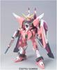 HG Infinite Justice Gundam Suit Gundam SEED 1/144 ZGMF-X19A (Mobile DESTINY)