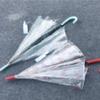 Tiangtang Semi-Automatic Polka Dot Transparent Straight Umbrella