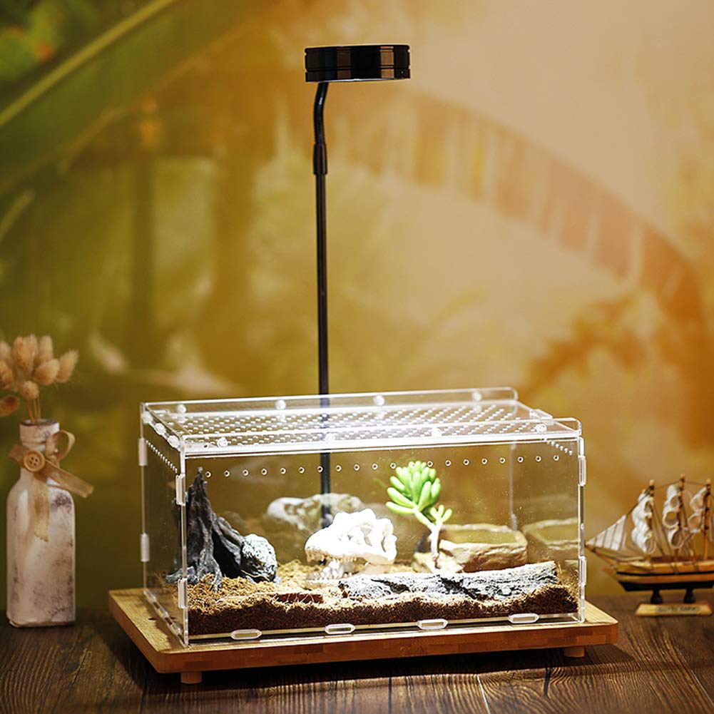 Reptile Terrarium, Ventilated, Acrylic Material, Transparent, Reptile Cage, Insect Terrarium, Suitable for Lizards/Spiders/Frogs/Turtles/Snakes/Frogs/