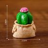 Landscape Creative Micro Cactus Decorations Toy Accessories Ornaments Desktop