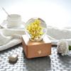 Hot Item Novelty Gifts 2025 Trends New Innovative Product Ideas Real Flower Light Bluetooth Speaker Holiday Festival Gift