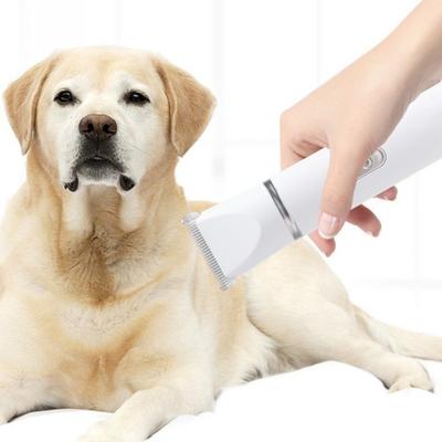 Köpek – Köpek bakım ürünleri