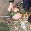 K8187 Portable Water Purifier Pump Camping Hand Pump Water Filter Outdoor Water Purifier  Green