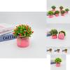 Starry Sky Artificial Flower Pot For Home Office Decor With Plastic Material And Wedding Use